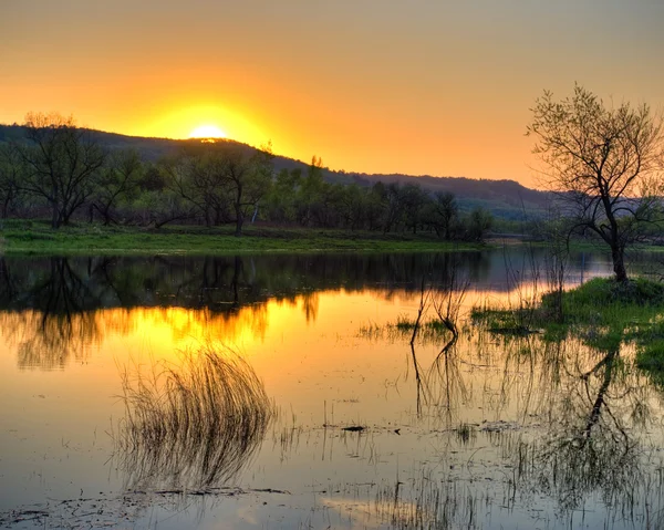 Altın Göl — Stok fotoğraf