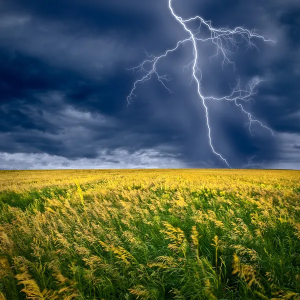 Lightning blinkar Stockbild
