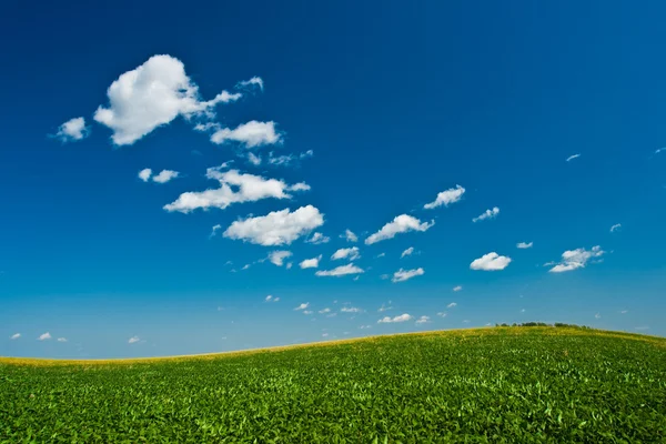 Zielone wzgórza pod niebem — Zdjęcie stockowe