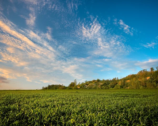 Field under the hill on sunset — Stock Photo, Image