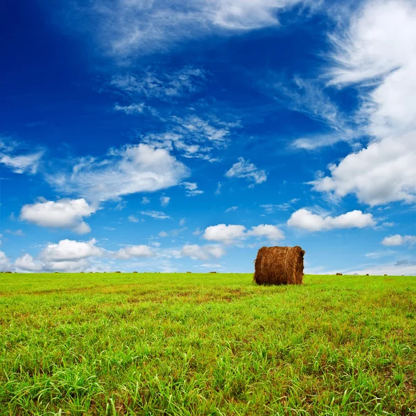 Zielone pole z siana — Zdjęcie stockowe