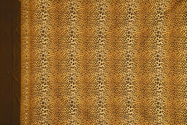 Textur leopard — Stockfoto