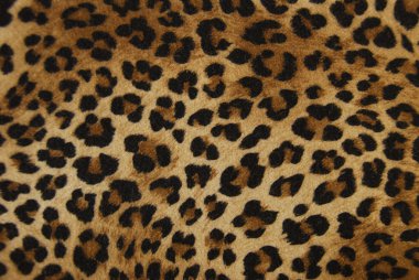 Leopard background clipart