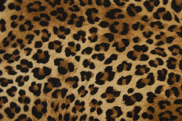 Fondo de leopardo —  Fotos de Stock