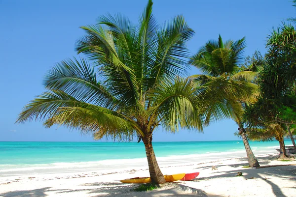 Spiaggia — Foto Stock