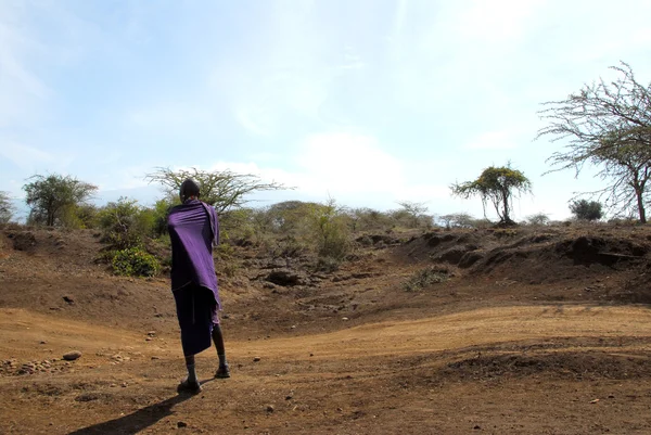 Masai — Stok fotoğraf