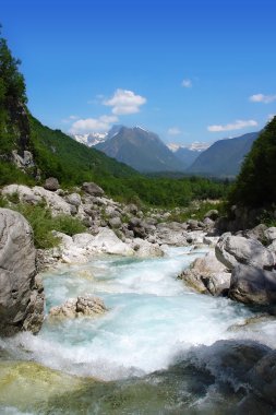 Boka rapids (Slovenia) clipart