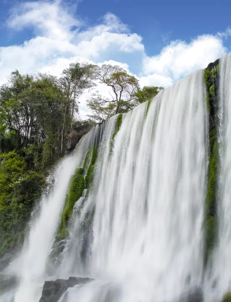 Iguassu falls (Brazilië) Rechtenvrije Stockafbeeldingen