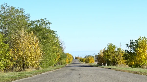 Sarı ve yeşil ağaçları ile sonbahar yol