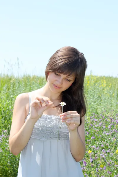 Dziewczyna domyśla się na kwiat rumianku — Zdjęcie stockowe