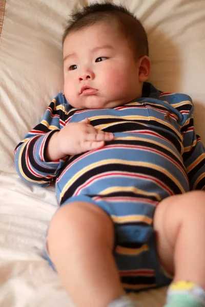 Gordura bebé — Fotografia de Stock