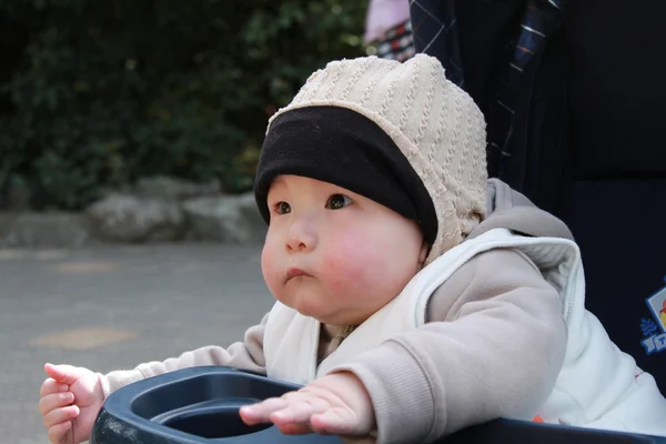 유모차에 귀여운 아기 — 스톡 사진