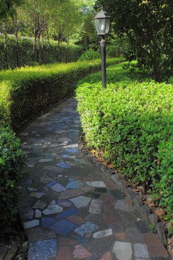 Garden path clipart