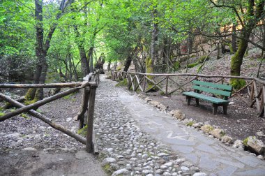 Rodos Adası Kelebekler Vadisi dağ dere.