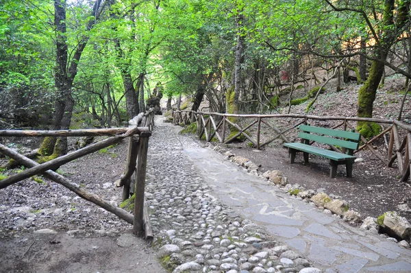 stock image Mountain Stream in the Valley of the butterflies on the island of Rhodes.