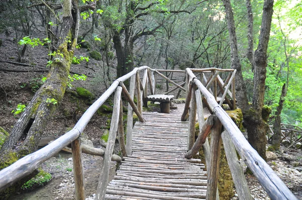 stock image Mountain Stream in the Valley of the butterflies on the island of Rhodes.