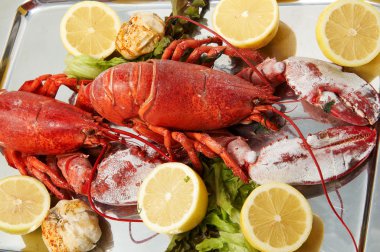 FRESH LOBSTER . clipart