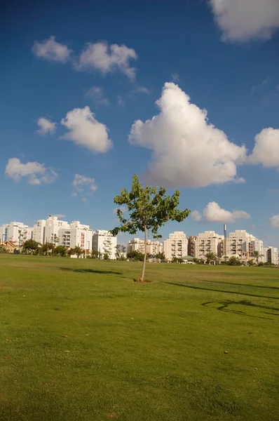 stock image City Park .