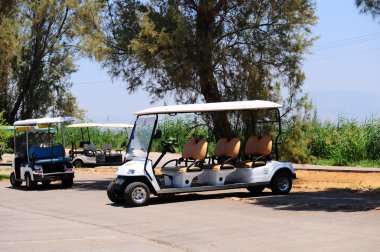 Golf arabaları .