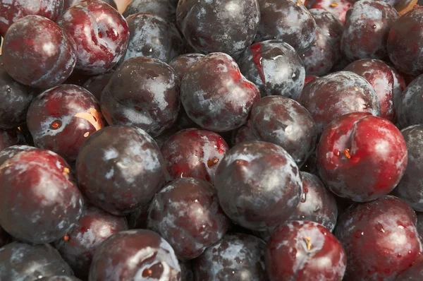 stock image PILE OF PLUMS.