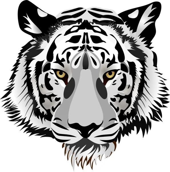 Tiger head.Vector — Stock Vector