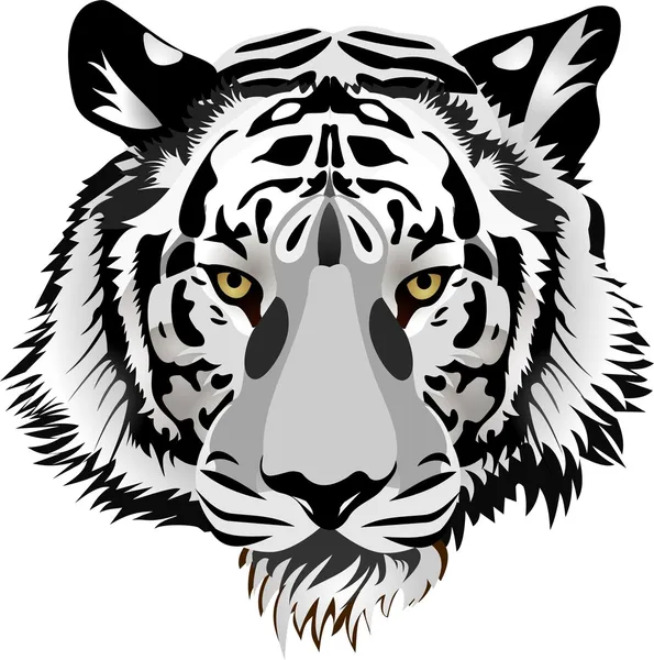 Tête de tigre. — Image vectorielle