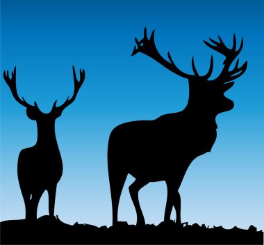 Deers.Vector