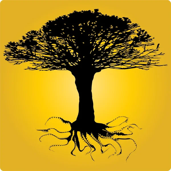Árbol de una raíz retorcida. Vector — Vector de stock
