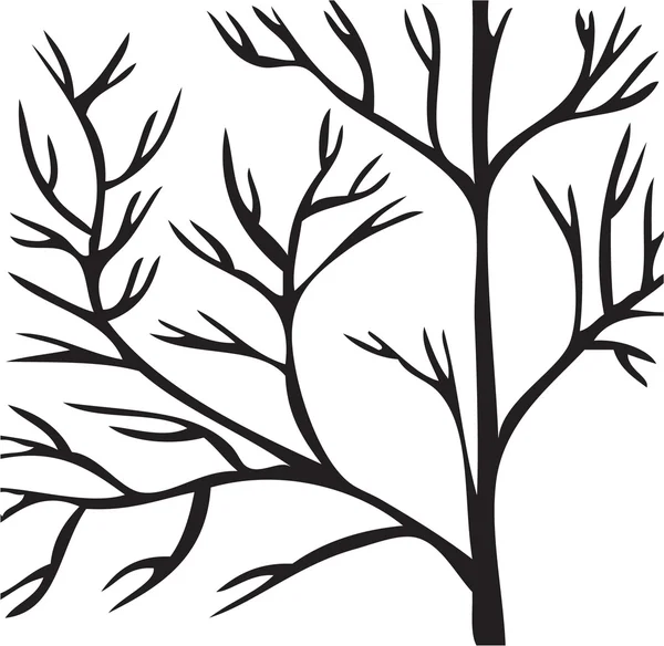 Rama de árbol negro sobre fondo blanco.Vector — Vector de stock