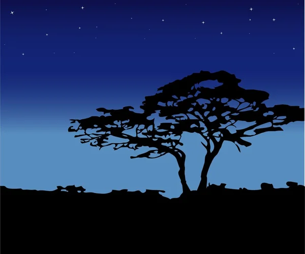Baum um Mitternacht Sterne. Vektor — Stockvektor
