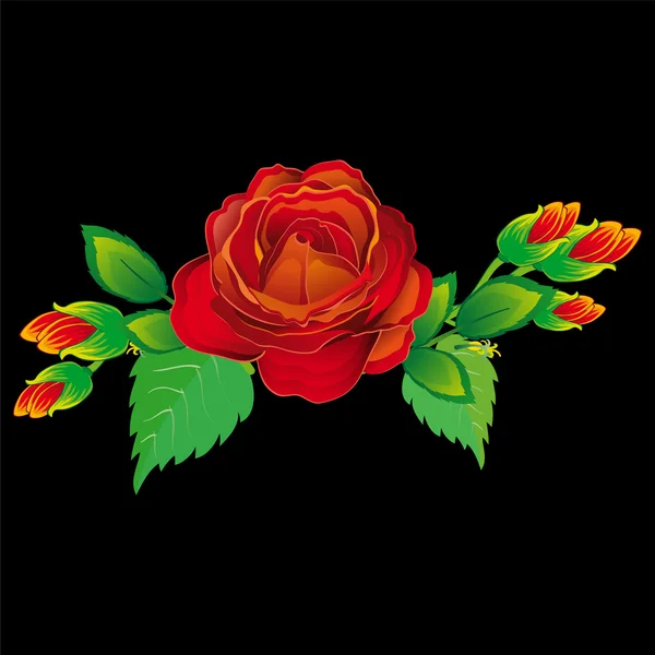 Rosa rossa su sfondo nero. Vettore — Vettoriale Stock