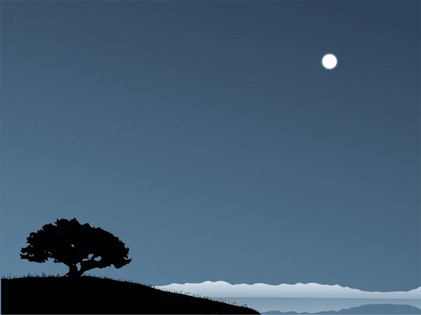 Nuit étoilée à terre. Vecteur — Image vectorielle