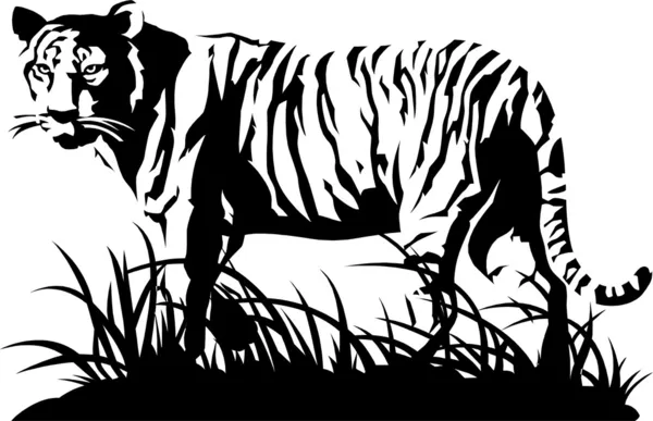 बाघ काले और सफेद। सदिश स्टॉक इलस्ट्रेशन