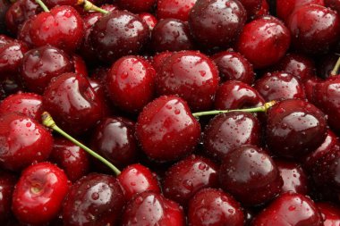 Sweet cherry. clipart