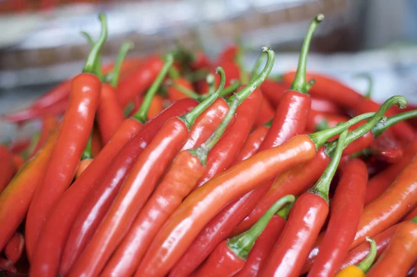 Fresh red chilli pepper — Stock Photo, Image