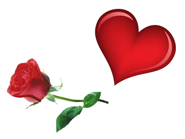 Coração e uma rosa — Fotografia de Stock