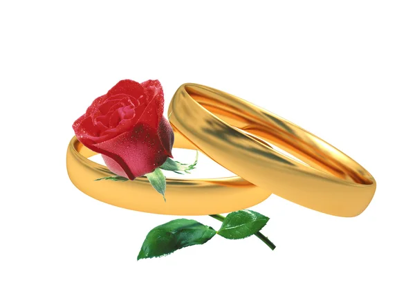 Rings and a rose — Stock Photo, Image