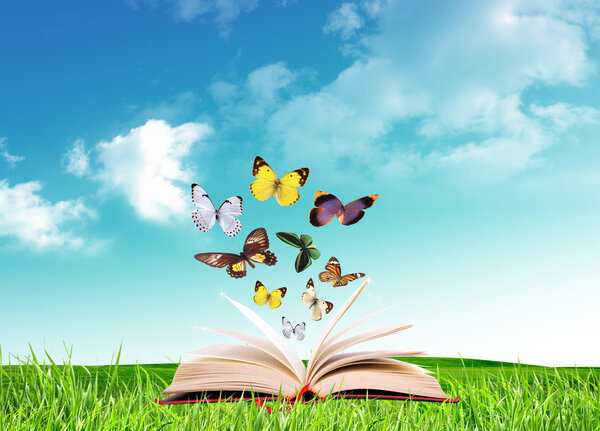 Wonderful butterflies flying from the book