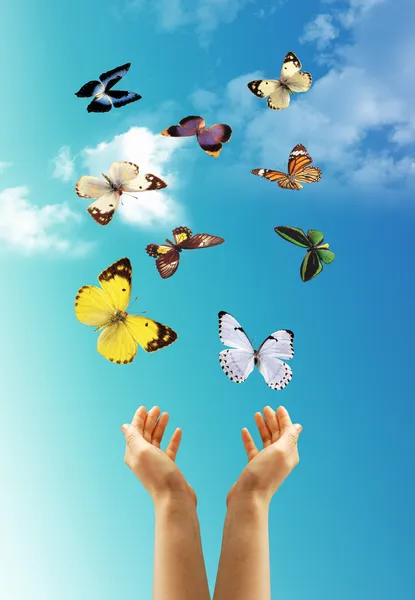 Mãos e borboletas — Fotografia de Stock