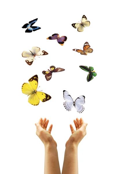 Hands and butterflies — Stock Photo, Image