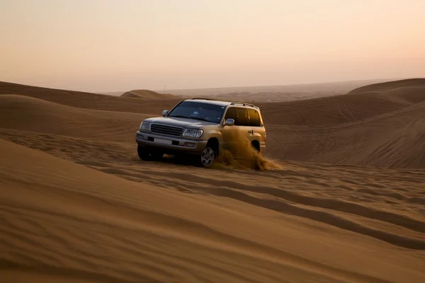 Safari por el desierto en coche Fotos de stock