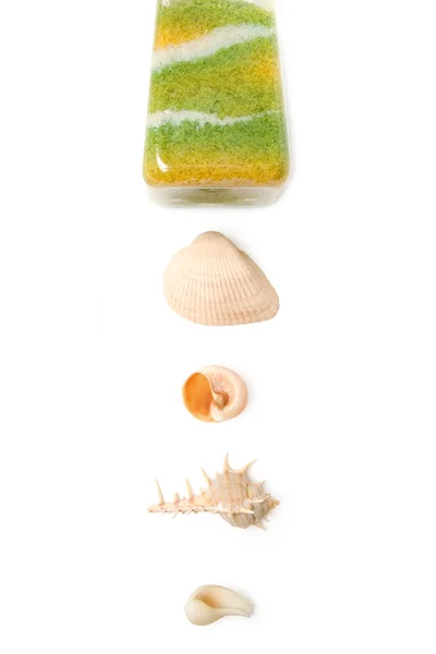 Naturliga havet salt och snäckskal — Stockfoto