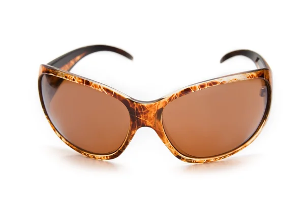 Lady's zonnebril — Stockfoto