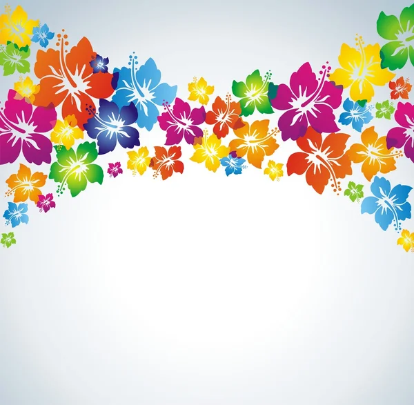 Hibisco Fundo floral colorido — Fotografia de Stock