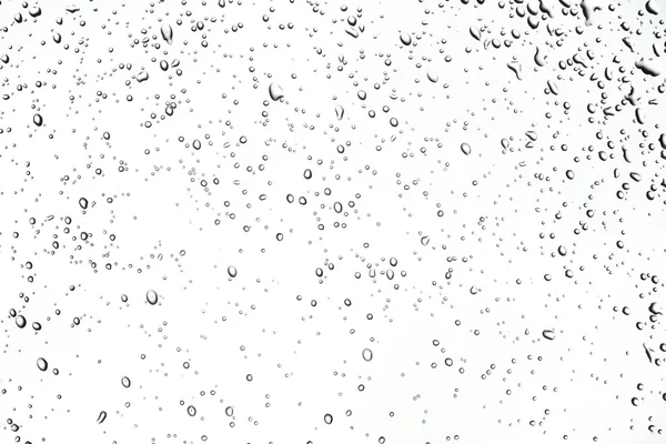 Gotas de chuva ou orvalho — Fotografia de Stock