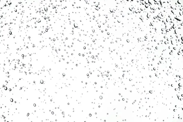 Краплі дощу або роса Ліцензійні Стокові Фото