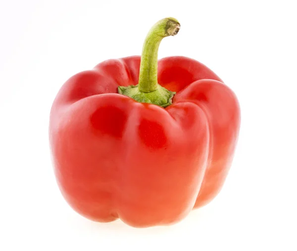 stock image Red pepper