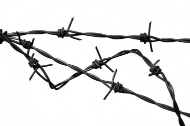 Barbed wire clipart