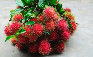 taze rambutan