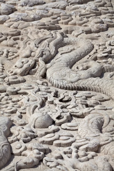 stock image Dragon wall